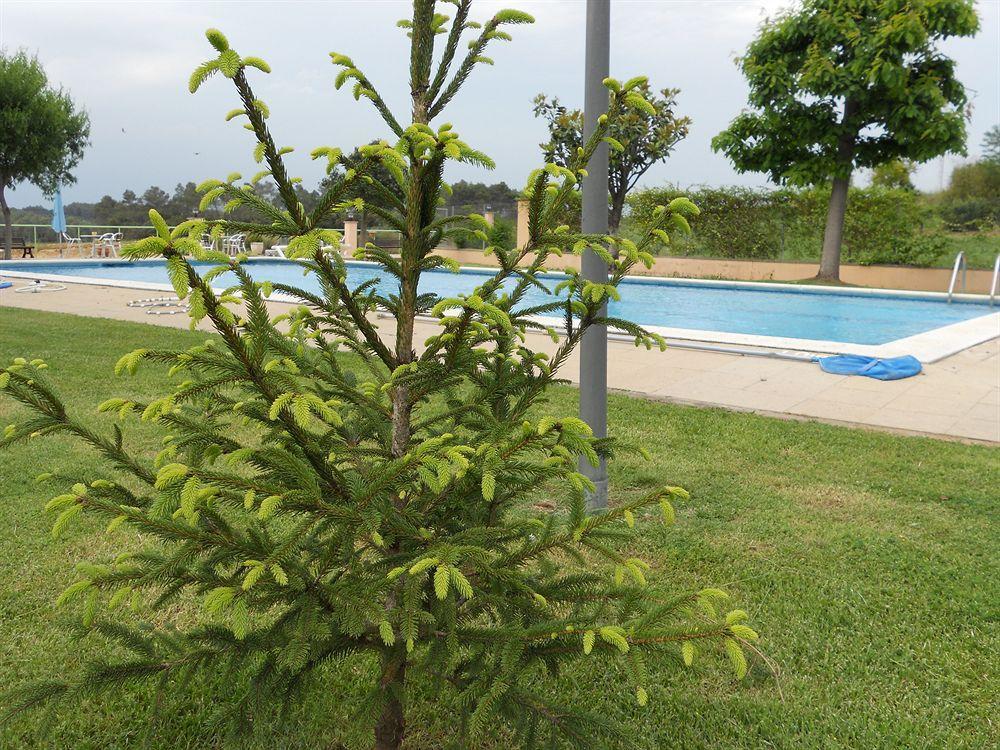 Hotel Sausa Vilafreser Dış mekan fotoğraf